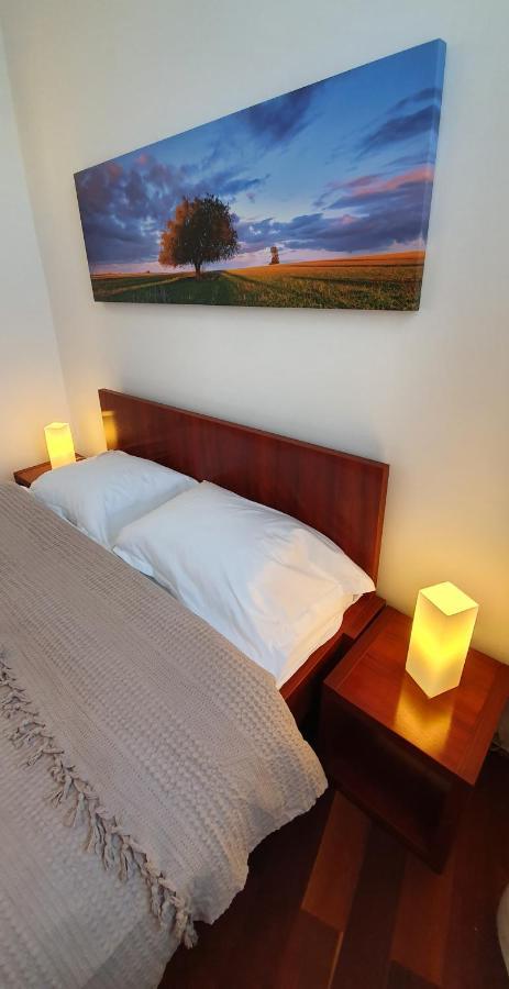 Sweet Dreams Suites Cismigiu Gardens بوخارست المظهر الخارجي الصورة
